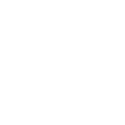 GPS